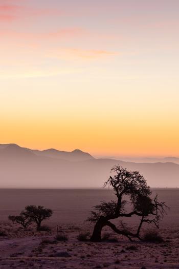 Fondo de pantalla de Fondo de Pantalla de pixabay_4965456.jpg