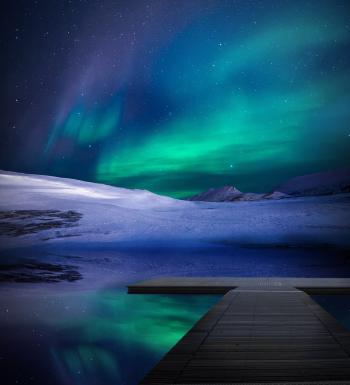 Fondo de pantalla de Fondo de Pantalla de pixabay_4862259.jpg