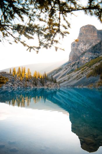 Fondo de pantalla de Fondo de Pantalla de pixabay_4641428.jpg