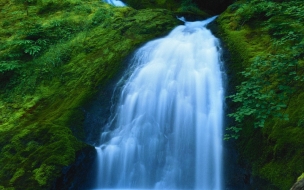 Catarata en bosque