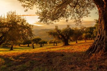 Fondo de pantalla de Fondo de Pantalla de pixabay_4452538.jpg