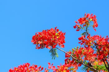 Fondo de pantalla de Fondo de Pantalla de pixabay_3352356.jpg