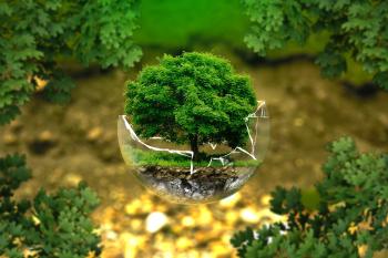 Fondo de pantalla de Fondo de Pantalla de pixabay_326923.jpg