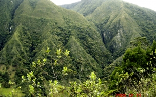 Hermosas montaÃ±as