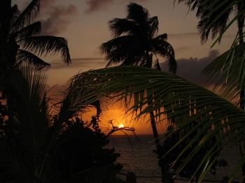 Fondo de pantalla de Fondo de Pantalla de pixabay_291021.jpg