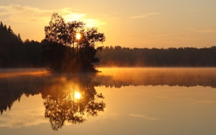 Isla de arboles en lago