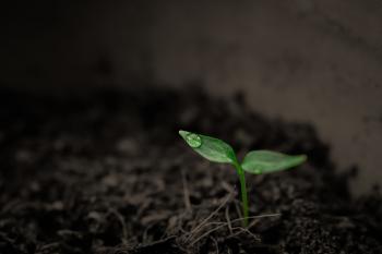 Fondo de pantalla de Fondo de Pantalla de pixabay_2551467.jpg