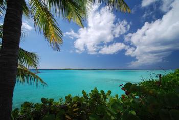 Fondo de pantalla de Fondo de Pantalla de pixabay_2357829.jpg