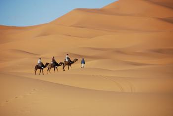 Fondo de pantalla de Fondo de Pantalla de pixabay_1914052.jpg