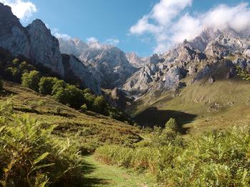 Fondo de pantalla de Fondo de Pantalla de pixabay_1841558.jpg