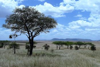 Fondo de pantalla de Fondo de Pantalla de pixabay_1845134.jpg