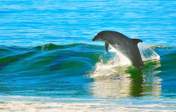 Fondo de pantalla de Fondo de Pantalla de pixabay_1679468.jpg