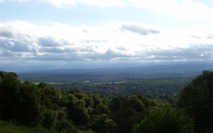 Paisaje areas verdes