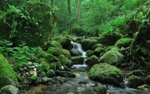 Riachuelo en montaÃ±a