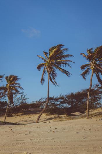 Fondo de pantalla de Fondo de Pantalla de pexels_936548.jpg