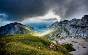 Mount pilatus switzerland