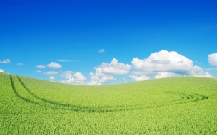 Beautiful green landscape