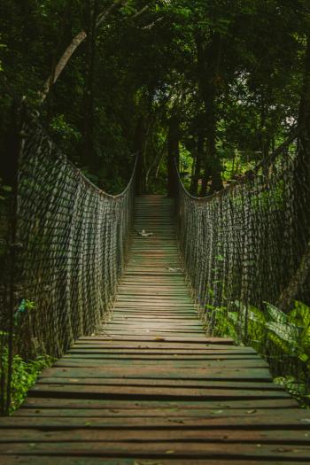Fondo de pantalla de Fondo de Pantalla de pexels_29028236.jpg