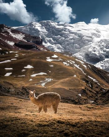 Fondo de pantalla de Fondo de Pantalla de pexels_2847475.jpg