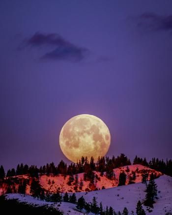 Fondo de pantalla de Fondo de Pantalla de pexels_2361600.jpg