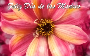 Feliz DÃ­a de las Madres 1