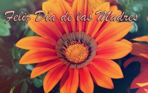 Feliz dia de las Madres