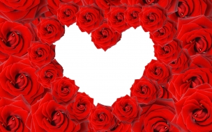 Red roses  love heart wide