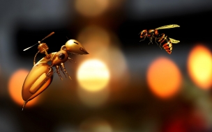 Bee 2560x1440 robot 5k