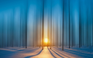 Forest 2560x1440 snow sunset hd