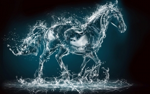 Horse 2560x1440 water transparent 10k