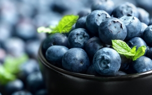 Blueberry 2560x1440 berries 4k