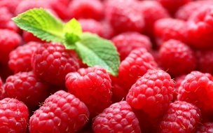 Raspberries 2560x1440 delicious 5k