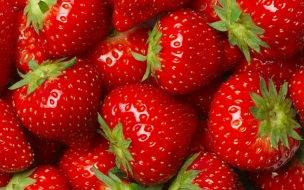 Strawberry 2560x1440 8k