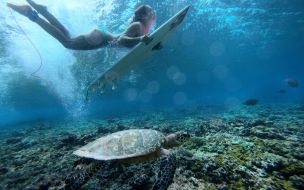 Surfing 2560x1440 girl sea underwater