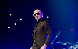 Pitbull 2560x1440 photo 5k