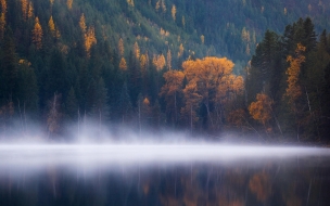 Echo lake 2560x1440 forest trees fog columbia autumn 5k