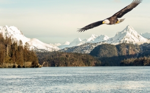 Eagle 2560x1440 mountains lake 5k