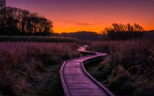 Boardwalk 2560x1440 grass sunset 8k