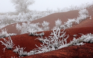 Frost 2560x1440 winter snow fog white 5k