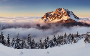 Mountains 2560x1440 forest snow winter fog 8k