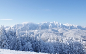 Mountains 2560x1440 forest trees snow winter 4k