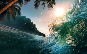 Ocean 2560x1440 waves palm 5k