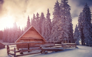 Pines 2560x1440 4k hd wallpaper snow sunset house