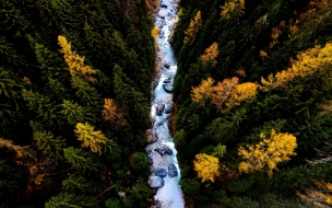 River 2560x1440 trees earth 4k