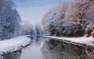 River 2560x1440 winter forest snow trees 5k