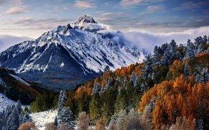 Sneffels 2560x1440 mountain trees winter forest 4k