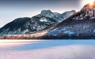 Snowy mountains 2560x1440 australia snow forest 5k