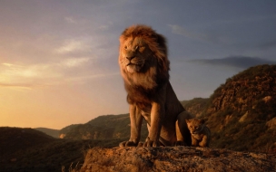 The lion king 2560x1440 hd