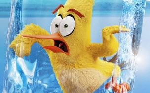 The angry birds movie 2 2560x1440 poster 4k