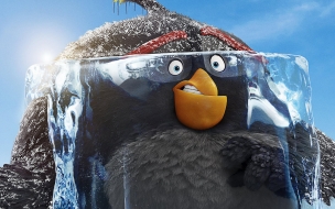 The angry birds movie 2 2560x1440 poster 4k